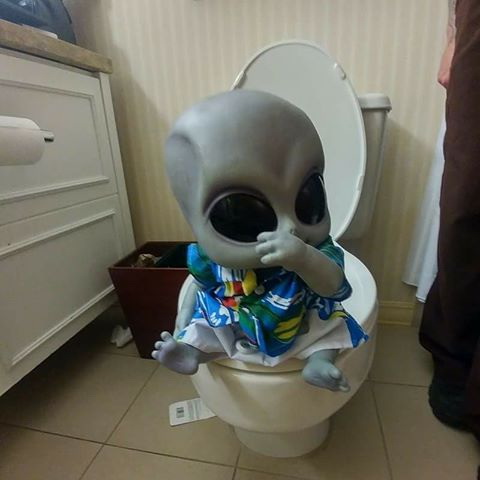 Alien baby on toilet seat at Hotel.